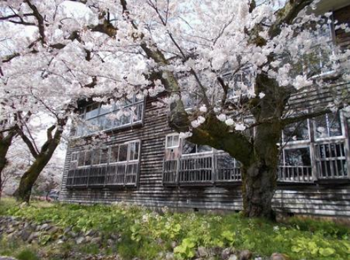 フレッシャーズ